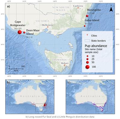 Quantifying wildlife conflicts with metabarcoding and traditional dietary analyses: applied to seabird predation by long-nosed fur seals